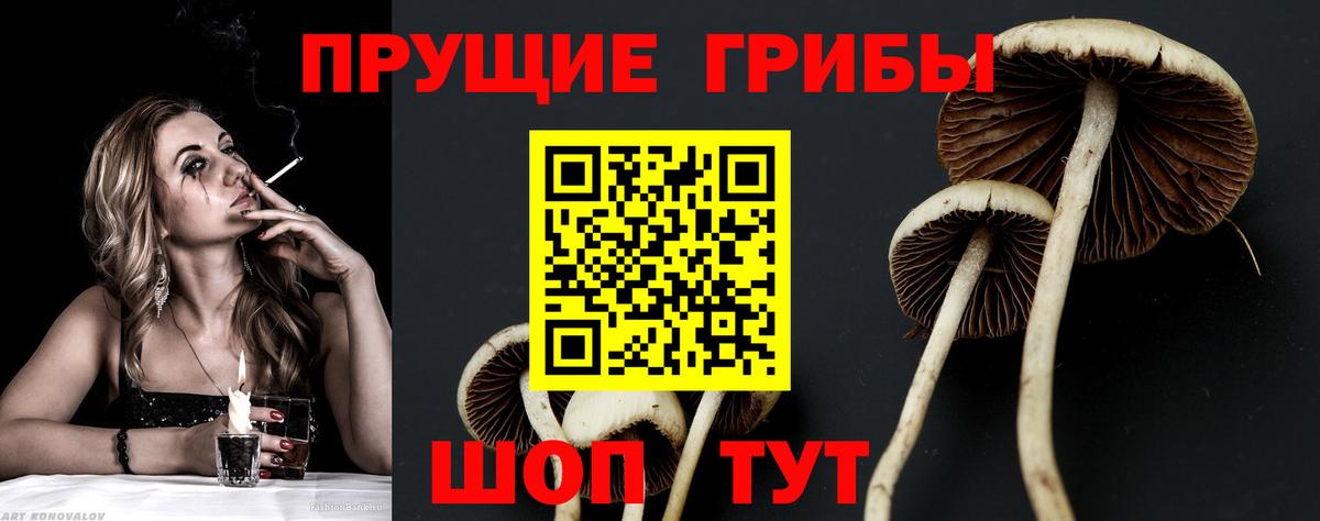 Псилоцибиновые грибы Psilocybine cubensis  Вход с VPN  Сарапул 